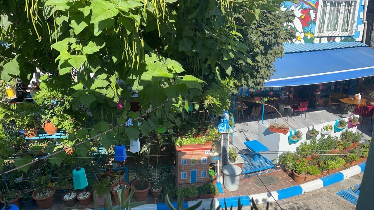 Sultanahmet Isil Hotel اسطنبول المظهر الخارجي الصورة
